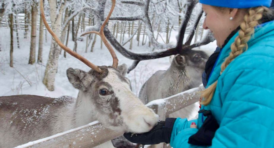 Bezoek aan rendierboerderij in Finland